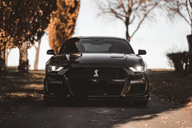 Ripper Casino Aip Android/iOS